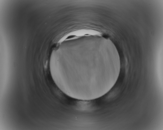 X0000083560139200703091624