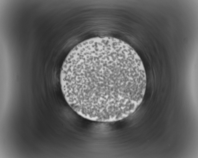 X0000083560140200703091624