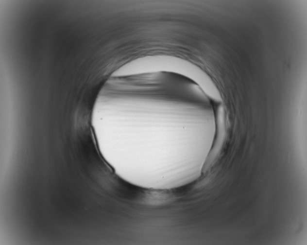 X0000083560141200703091624