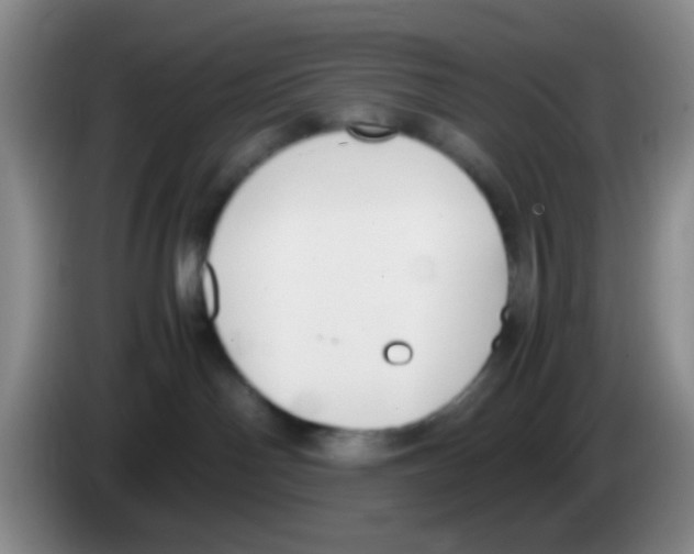 X0000083560142200703091624