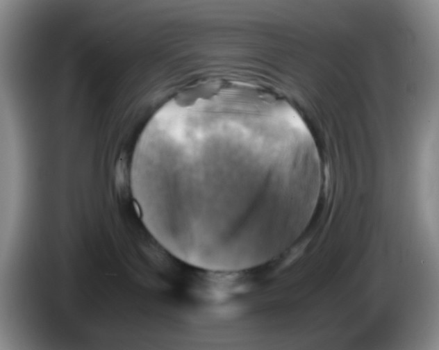 X0000083560143200703091624