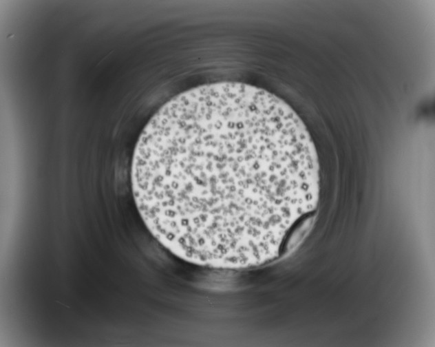X0000083560144200703091624