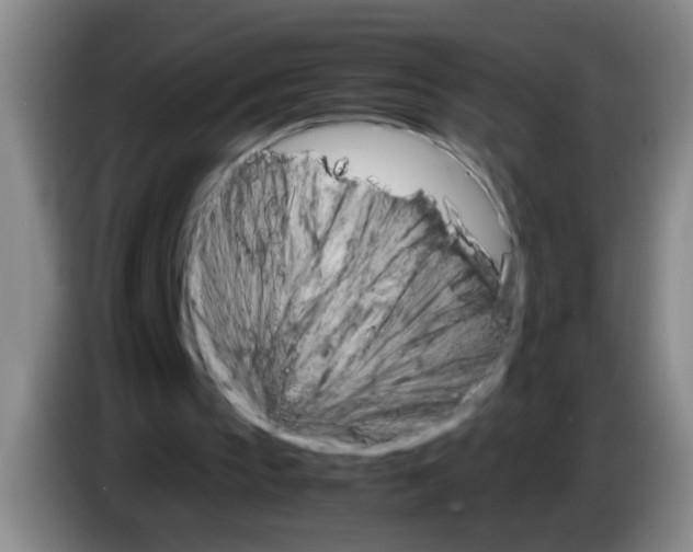 X0000083560145200703091624