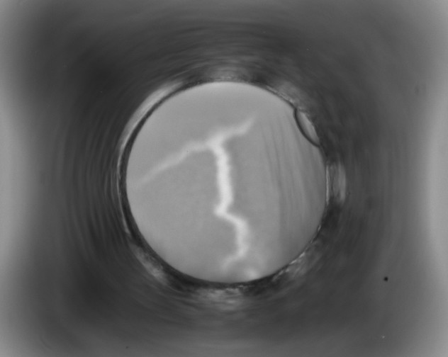 X0000083560147200703091624