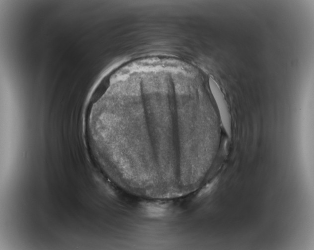 X0000083560148200703091624