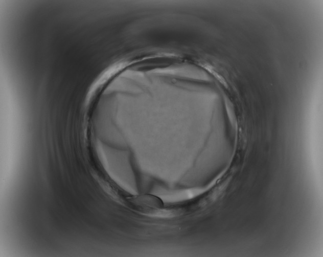 X0000083560149200703091624