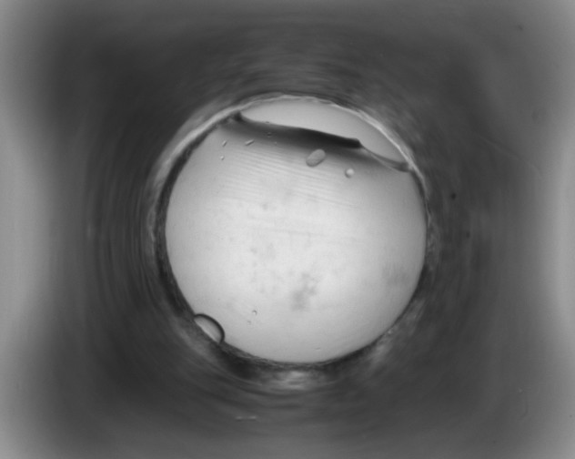 X0000083560151200703091624