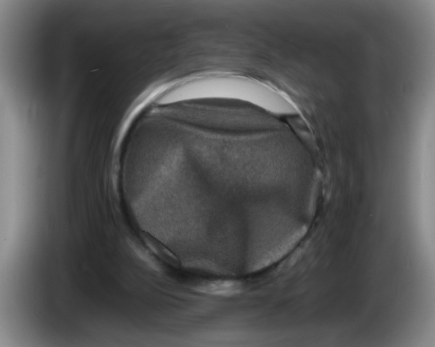 X0000083560152200703091624