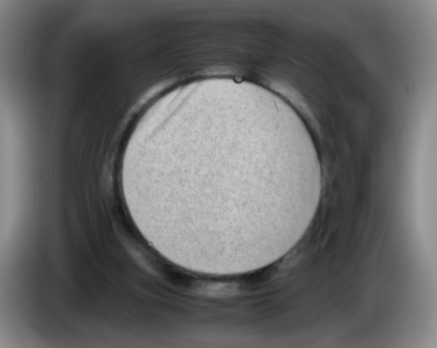 X0000083560155200703091624