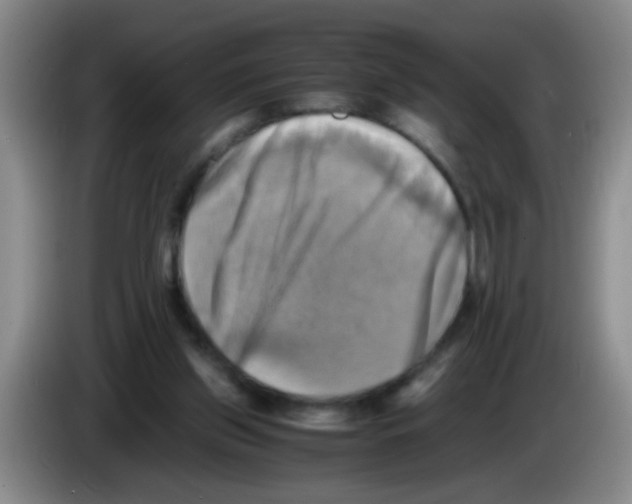 X0000083560157200703091624