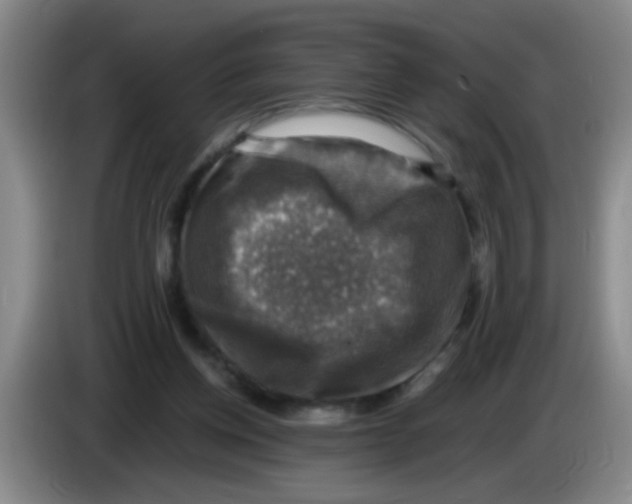 X0000083560158200703091624