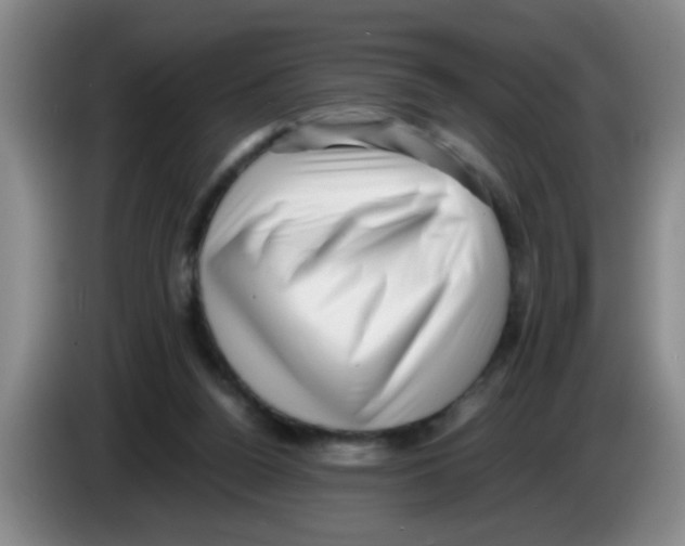 X0000083560160200703091624