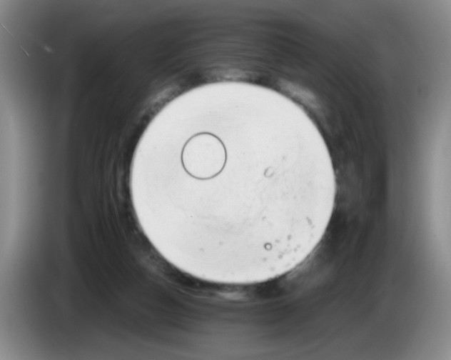 X0000083560162200703091624