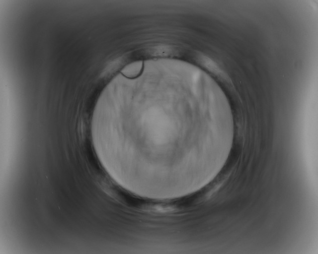 X0000083560165200703091624