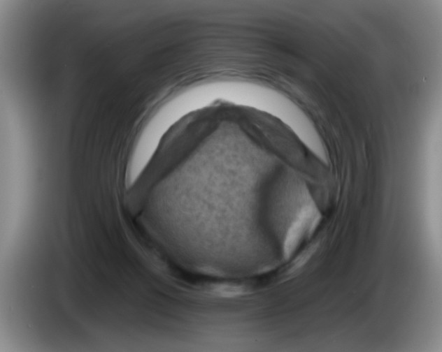 X0000083560168200703091624