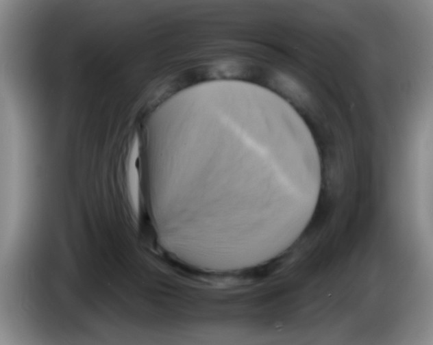 X0000083560169200703091624