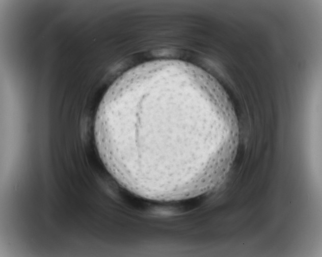 X0000083560171200703091624