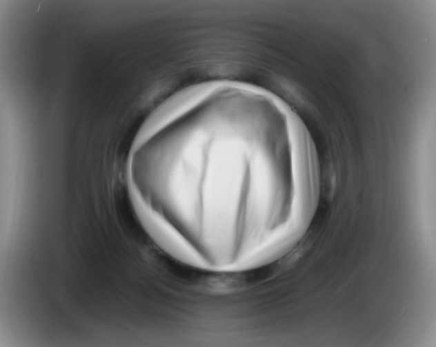 X0000083560172200703091624