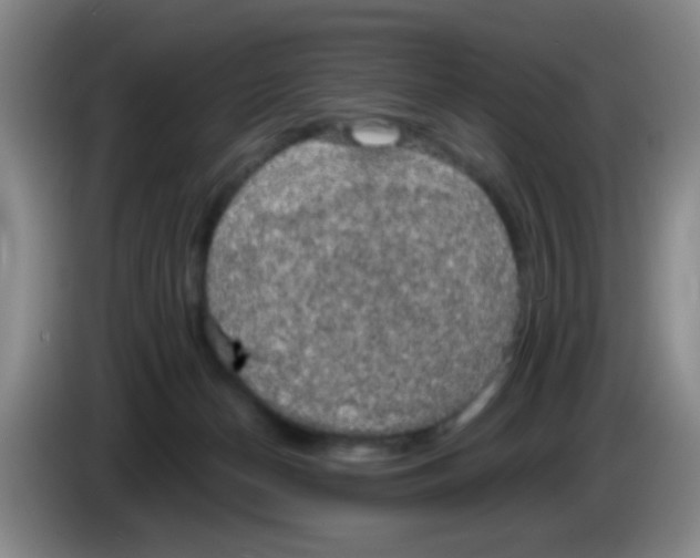 X0000083560174200703091624