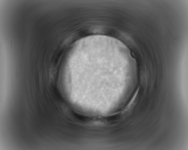 X0000083560175200703091624