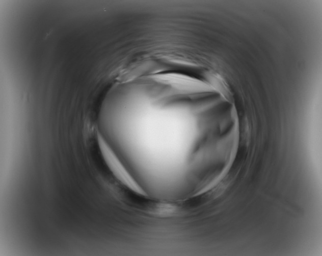 X0000083560176200703091624