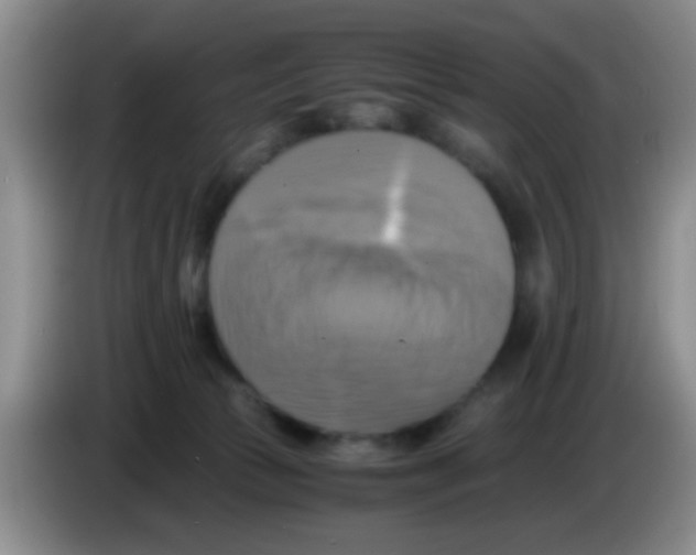 X0000083560177200703091624