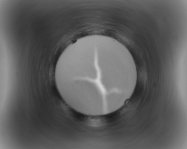 X0000083560181200703091624