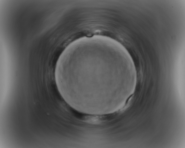 X0000083560182200703091624