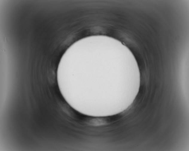 X0000083560183200703091624