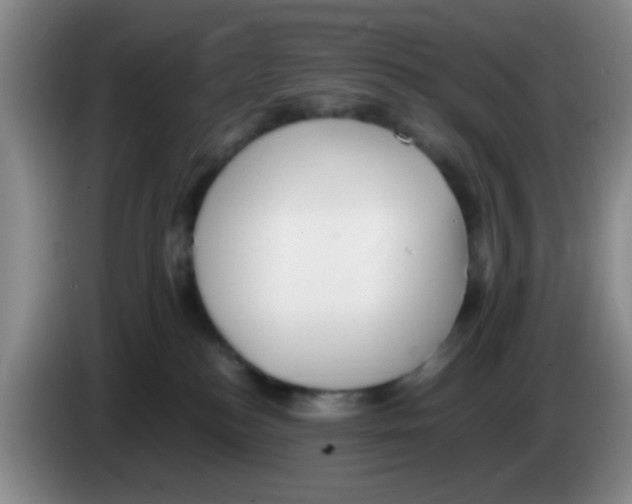 X0000083560184200703091624