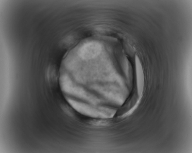 X0000083560186200703091624