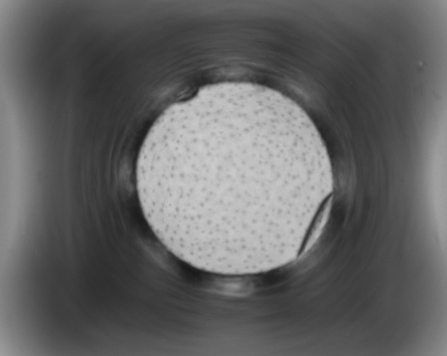 X0000083560187200703091624