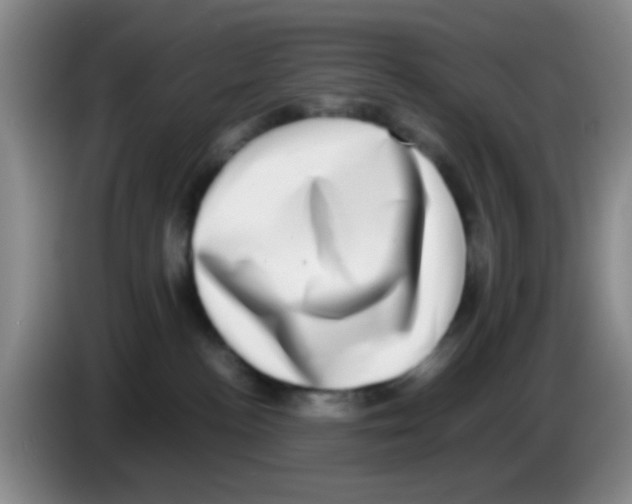 X0000083560188200703091624