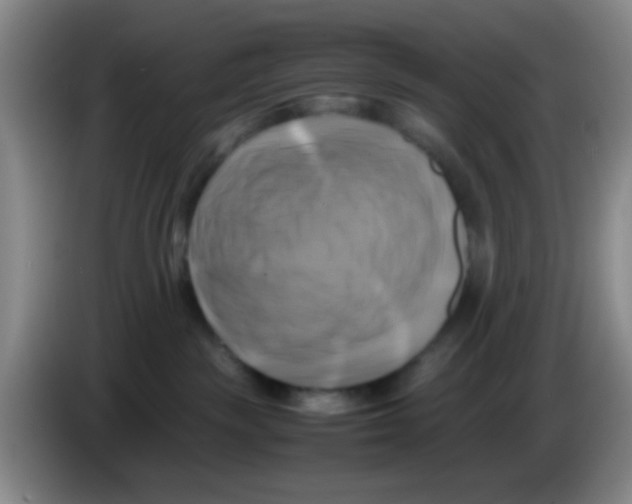 X0000083560189200703091624