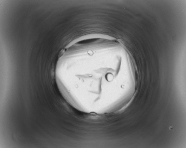 X0000083560190200703091624