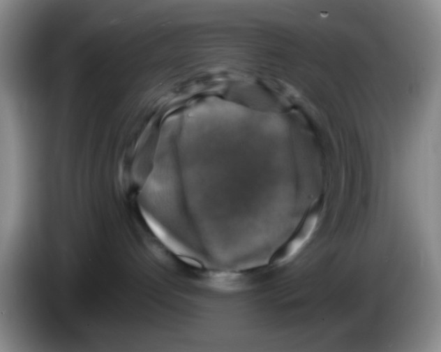 X0000083560192200703091624