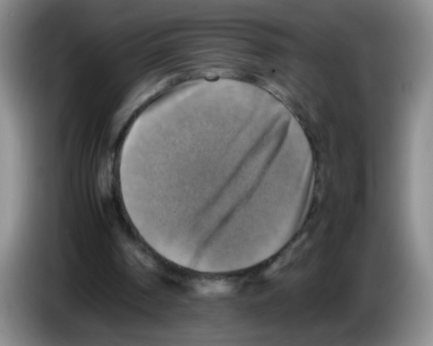 X0000083560194200703091624