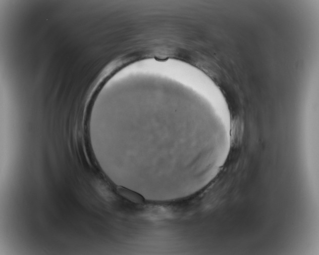 X0000083560195200703091624