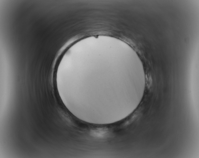 X0000083560196200703091624