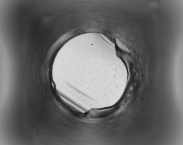 X0000083560197200703091624