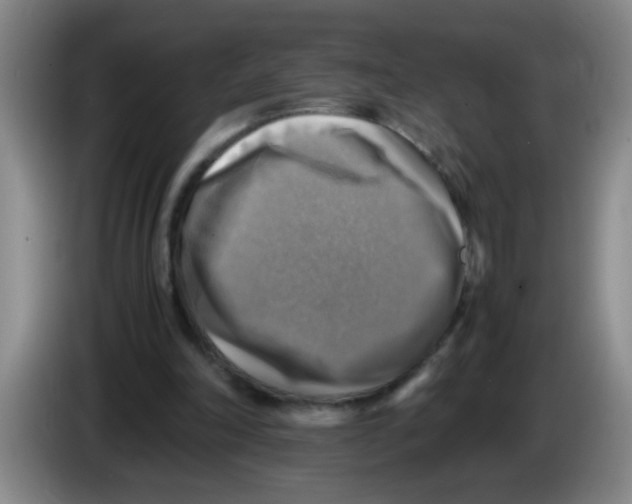 X0000083560198200703091623