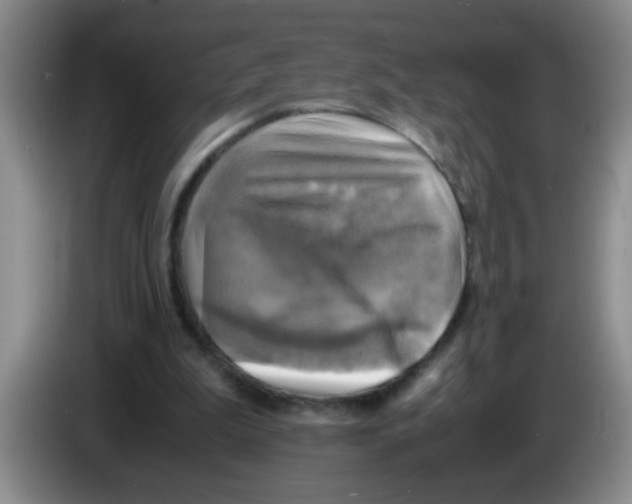 X0000083560199200703091623