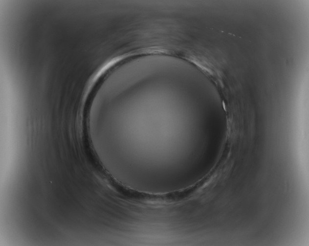 X0000083560200200703091623