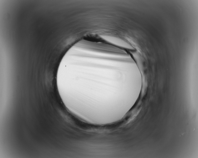 X0000083560201200703091623