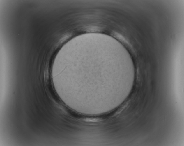 X0000083560202200703091623