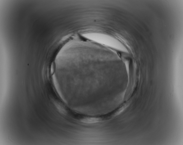 X0000083560205200703091623