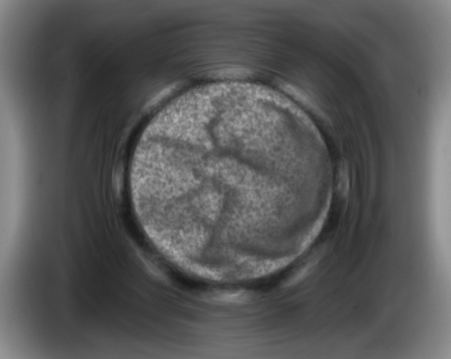 X0000083560206200703091623