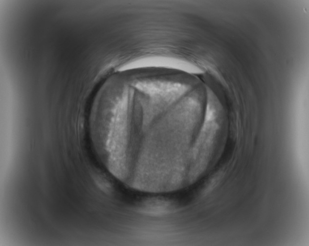 X0000083560207200703091623