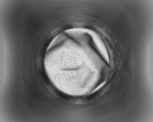 X0000083560209200703091623