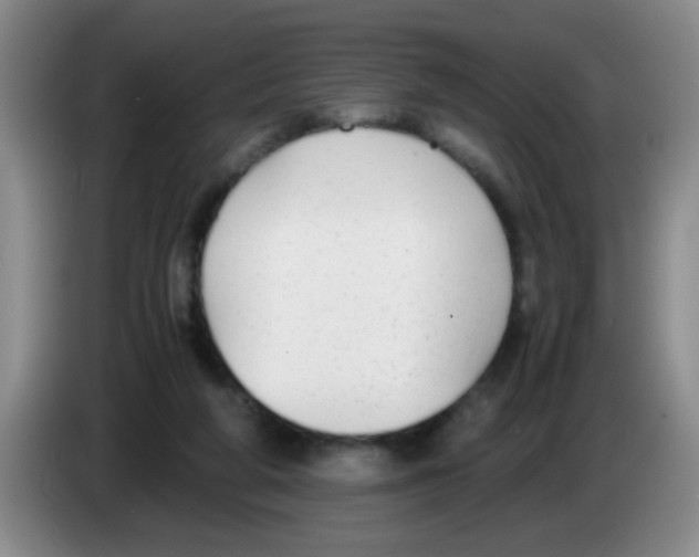 X0000083560210200703091623